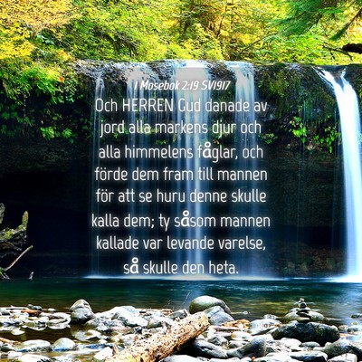 Picture 04 - 1 Mosebok 2:19 SV1917 - Och HERREN Gud danade av jord alla markens djur - Bible Verse Picture