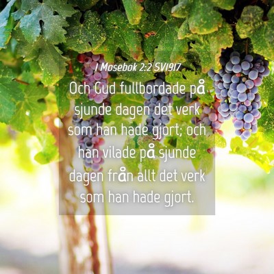 Picture 04 - 1 Mosebok 2:2 SV1917 - Och Gud fullbordade på sjunde dagen det verk som - Bible Verse Picture