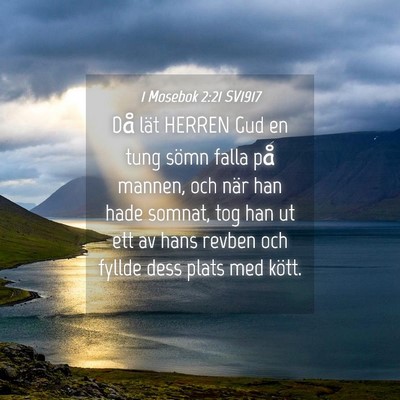 Picture 04 - 1 Mosebok 2:21 SV1917 - Då lät HERREN Gud en tung sömn falla på - Bible Verse Picture