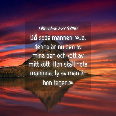 Picture 04 - 1 Mosebok 2:23 SV1917 - Då sade mannen: »Ja, denna är nu ben av mina - Bible Verse Picture