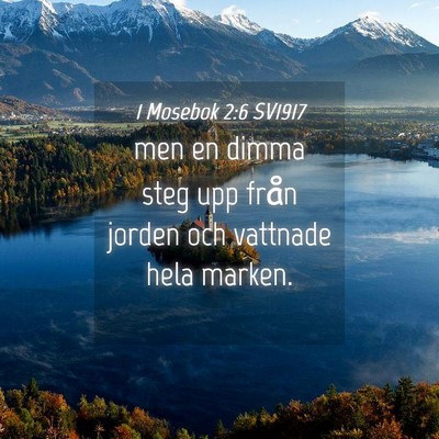Picture 04 - 1 Mosebok 2:6 SV1917 - men en dimma steg upp från jorden och vattnade - Bible Verse Picture