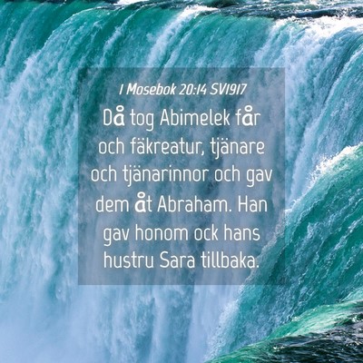 Picture 04 - 1 Mosebok 20:14 SV1917 - Då tog Abimelek får och fäkreatur, tjänare - Bible Verse Picture