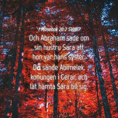 Picture 04 - 1 Mosebok 20:2 SV1917 - Och Abraham sade om sin hustru Sara att hon var - Bible Verse Picture
