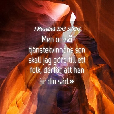 Picture 04 - 1 Mosebok 21:13 SV1917 - Men också tjänstekvinnans son skall jag göra - Bible Verse Picture