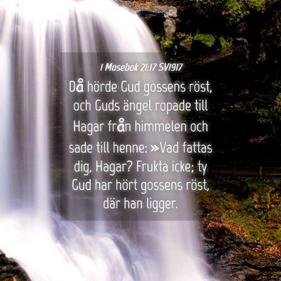 Picture 04 - 1 Mosebok 21:17 SV1917 - Då hörde Gud gossens röst, och Guds ängel - Bible Verse Picture