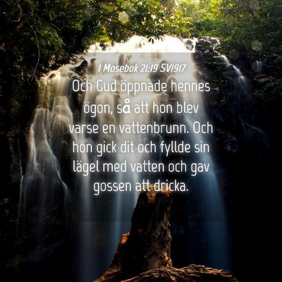 Picture 04 - 1 Mosebok 21:19 SV1917 - Och Gud öppnade hennes ögon, så att hon blev - Bible Verse Picture