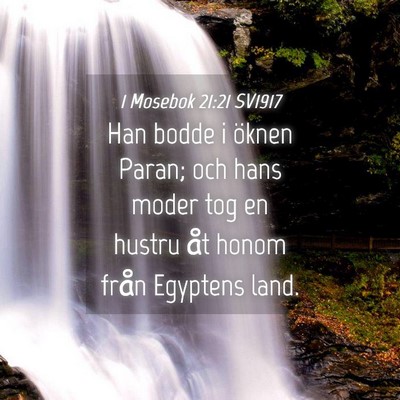 Picture 04 - 1 Mosebok 21:21 SV1917 - Han bodde i öknen Paran; och hans moder tog en - Bible Verse Picture