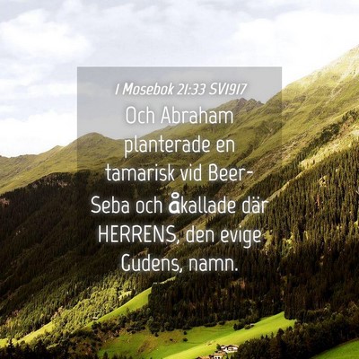 Picture 04 - 1 Mosebok 21:33 SV1917 - Och Abraham planterade en tamarisk vid Beer-Seba - Bible Verse Picture