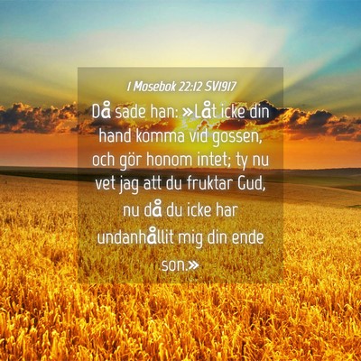 Picture 04 - 1 Mosebok 22:12 SV1917 - Då sade han: »Låt icke din hand komma vid - Bible Verse Picture