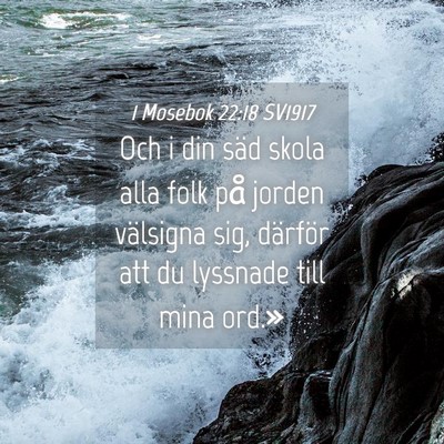 Picture 04 - 1 Mosebok 22:18 SV1917 - Och i din säd skola alla folk på jorden - Bible Verse Picture