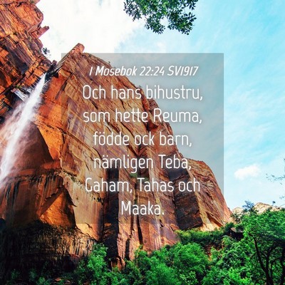 Picture 04 - 1 Mosebok 22:24 SV1917 - Och hans bihustru, som hette Reuma, födde ock - Bible Verse Picture