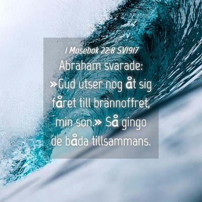 Picture 04 - 1 Mosebok 22:8 SV1917 - Abraham svarade: »Gud utser nog åt sig fåret - Bible Verse Picture