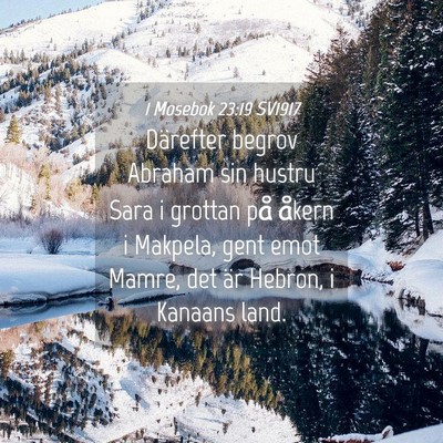 Picture 04 - 1 Mosebok 23:19 SV1917 - Därefter begrov Abraham sin hustru Sara i - Bible Verse Picture
