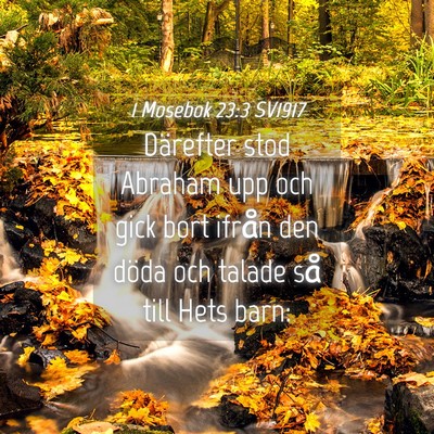 Picture 04 - 1 Mosebok 23:3 SV1917 - Därefter stod Abraham upp och gick bort ifrån - Bible Verse Picture