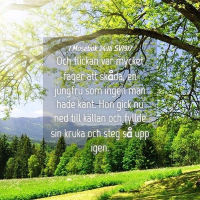 Picture 04 - 1 Mosebok 24:16 SV1917 - Och flickan var mycket fager att skåda, en - Bible Verse Picture