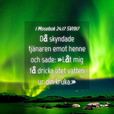 Picture 04 - 1 Mosebok 24:17 SV1917 - Då skyndade tjänaren emot henne och sade: - Bible Verse Picture