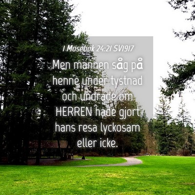 Picture 04 - 1 Mosebok 24:21 SV1917 - Men mannen såg på henne under tystnad och - Bible Verse Picture