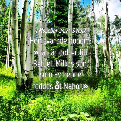 Picture 04 - 1 Mosebok 24:24 SV1917 - Hon svarade honom: »Jag är dotter till Betuel, - Bible Verse Picture
