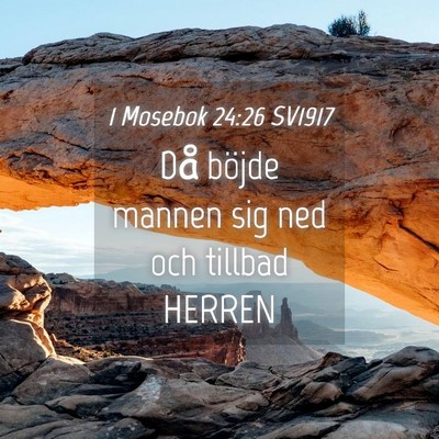 Picture 04 - 1 Mosebok 24:26 SV1917 - Då böjde mannen sig ned och tillbad - Bible Verse Picture