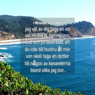 Picture 04 - 1 Mosebok 24:3 SV1917 - jag vill av dig taga en ed vid HERREN, himmelens - Bible Verse Picture