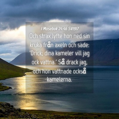 Picture 04 - 1 Mosebok 24:46 SV1917 - Och strax lyfte hon ned sin kruka från axeln och - Bible Verse Picture
