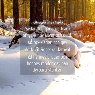 Picture 04 - 1 Mosebok 24:53 SV1917 - Sedan tog tjänaren fram smycken av silver och - Bible Verse Picture