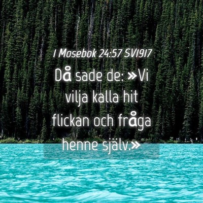 Picture 04 - 1 Mosebok 24:57 SV1917 - Då sade de: »Vi vilja kalla hit flickan och - Bible Verse Picture