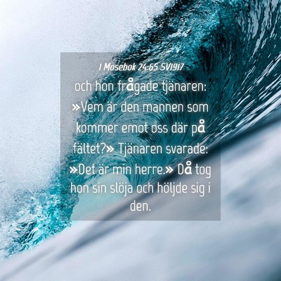 Picture 04 - 1 Mosebok 24:65 SV1917 - och hon frågade tjänaren: »Vem är den mannen - Bible Verse Picture