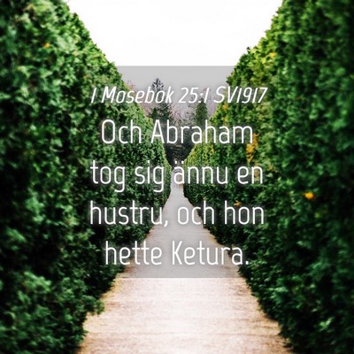 Picture 04 - 1 Mosebok 25:1 SV1917 - Och Abraham tog sig ännu en hustru, och hon - Bible Verse Picture