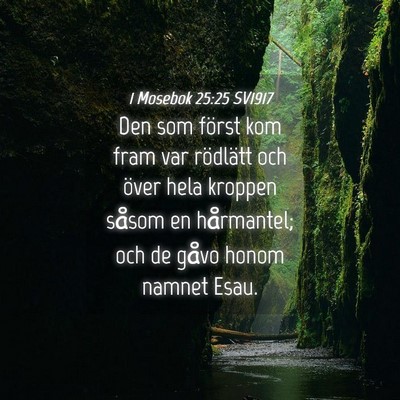 Picture 04 - 1 Mosebok 25:25 SV1917 - Den som först kom fram var rödlätt och över - Bible Verse Picture