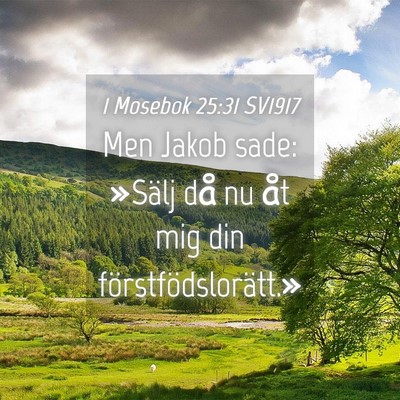 Picture 04 - 1 Mosebok 25:31 SV1917 - Men Jakob sade: »Sälj då nu åt mig din - Bible Verse Picture