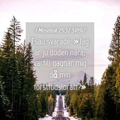 Picture 04 - 1 Mosebok 25:32 SV1917 - Esau svarade: »Jag är ju döden nära; vartill - Bible Verse Picture