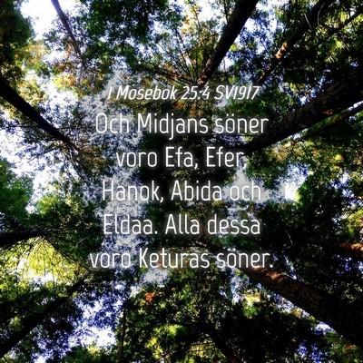 Picture 04 - 1 Mosebok 25:4 SV1917 - Och Midjans söner voro Efa, Efer, Hanok, Abida - Bible Verse Picture