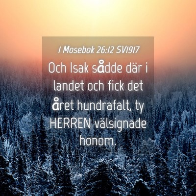 Picture 04 - 1 Mosebok 26:12 SV1917 - Och Isak sådde där i landet och fick det året - Bible Verse Picture