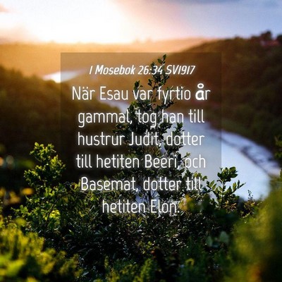 Picture 04 - 1 Mosebok 26:34 SV1917 - När Esau var fyrtio år gammal, tog han till - Bible Verse Picture