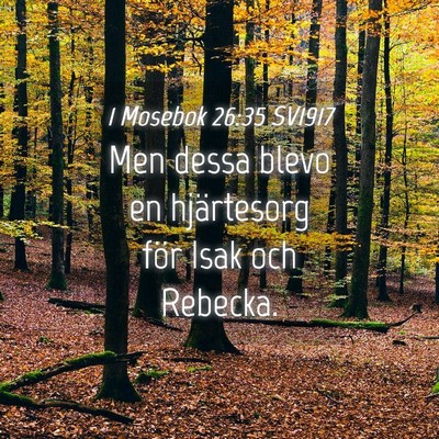 Picture 04 - 1 Mosebok 26:35 SV1917 - Men dessa blevo en hjärtesorg för Isak och - Bible Verse Picture