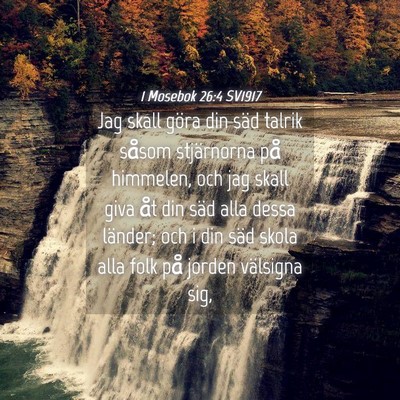 Picture 04 - 1 Mosebok 26:4 SV1917 - Jag skall göra din säd talrik såsom - Bible Verse Picture