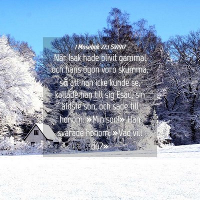 Picture 04 - 1 Mosebok 27:1 SV1917 - När Isak hade blivit gammal och hans ögon voro - Bible Verse Picture