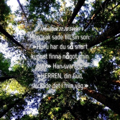 Picture 04 - 1 Mosebok 27:20 SV1917 - Men Isak sade till sin son: »Huru har du så - Bible Verse Picture