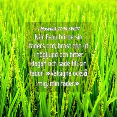 Picture 04 - 1 Mosebok 27:34 SV1917 - När Esau hörde sin faders ord, brast han ut i - Bible Verse Picture
