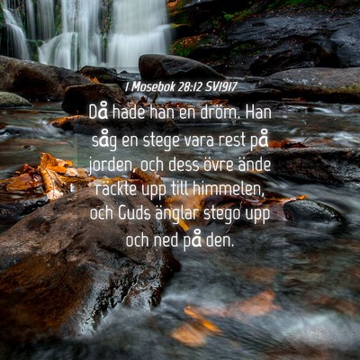 Picture 04 - 1 Mosebok 28:12 SV1917 - Då hade han en dröm. Han såg en stege vara - Bible Verse Picture