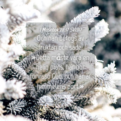 Picture 04 - 1 Mosebok 28:17 SV1917 - Och han betogs av fruktan och sade: »Detta - Bible Verse Picture
