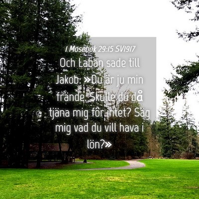 Picture 04 - 1 Mosebok 29:15 SV1917 - Och Laban sade till Jakob: »Du är ju min - Bible Verse Picture
