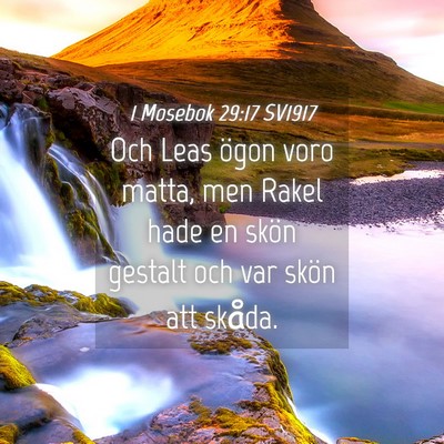 Picture 04 - 1 Mosebok 29:17 SV1917 - Och Leas ögon voro matta, men Rakel hade en - Bible Verse Picture