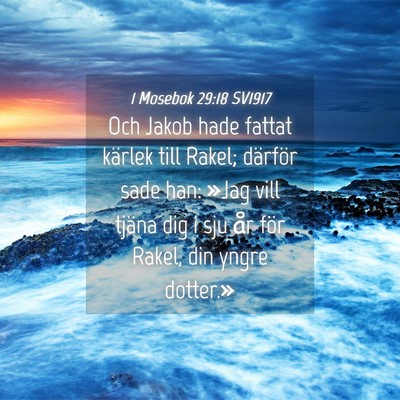 Picture 04 - 1 Mosebok 29:18 SV1917 - Och Jakob hade fattat kärlek till Rakel; - Bible Verse Picture