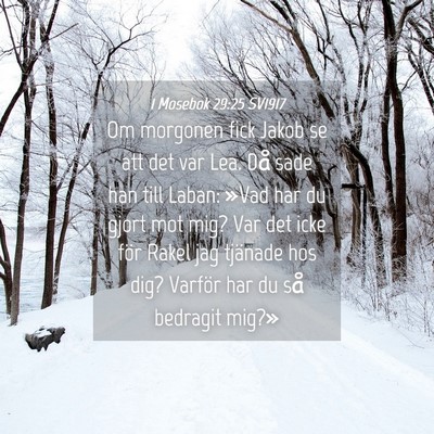 Picture 04 - 1 Mosebok 29:25 SV1917 - Om morgonen fick Jakob se att det var Lea. Då - Bible Verse Picture