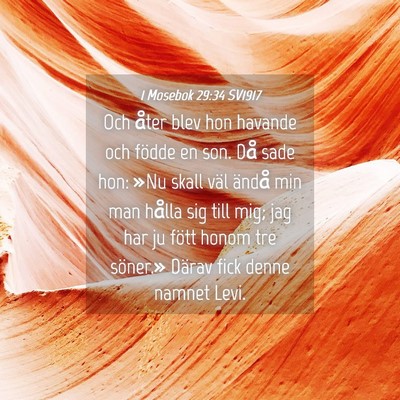 Picture 04 - 1 Mosebok 29:34 SV1917 - Och åter blev hon havande och födde en son. Då - Bible Verse Picture