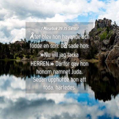 Picture 04 - 1 Mosebok 29:35 SV1917 - Åter blev hon havande och födde en son. Då - Bible Verse Picture