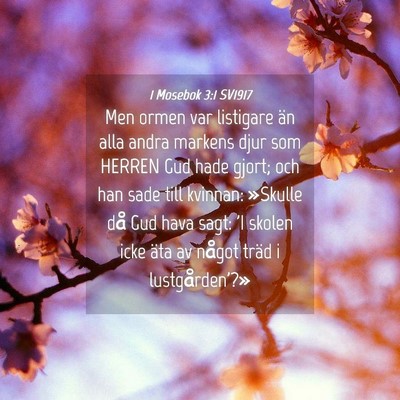 Picture 04 - 1 Mosebok 3:1 SV1917 - Men ormen var listigare än alla andra markens - Bible Verse Picture