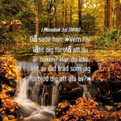 Picture 04 - 1 Mosebok 3:11 SV1917 - Då sade han: »Vem har låtit dig förstå att - Bible Verse Picture